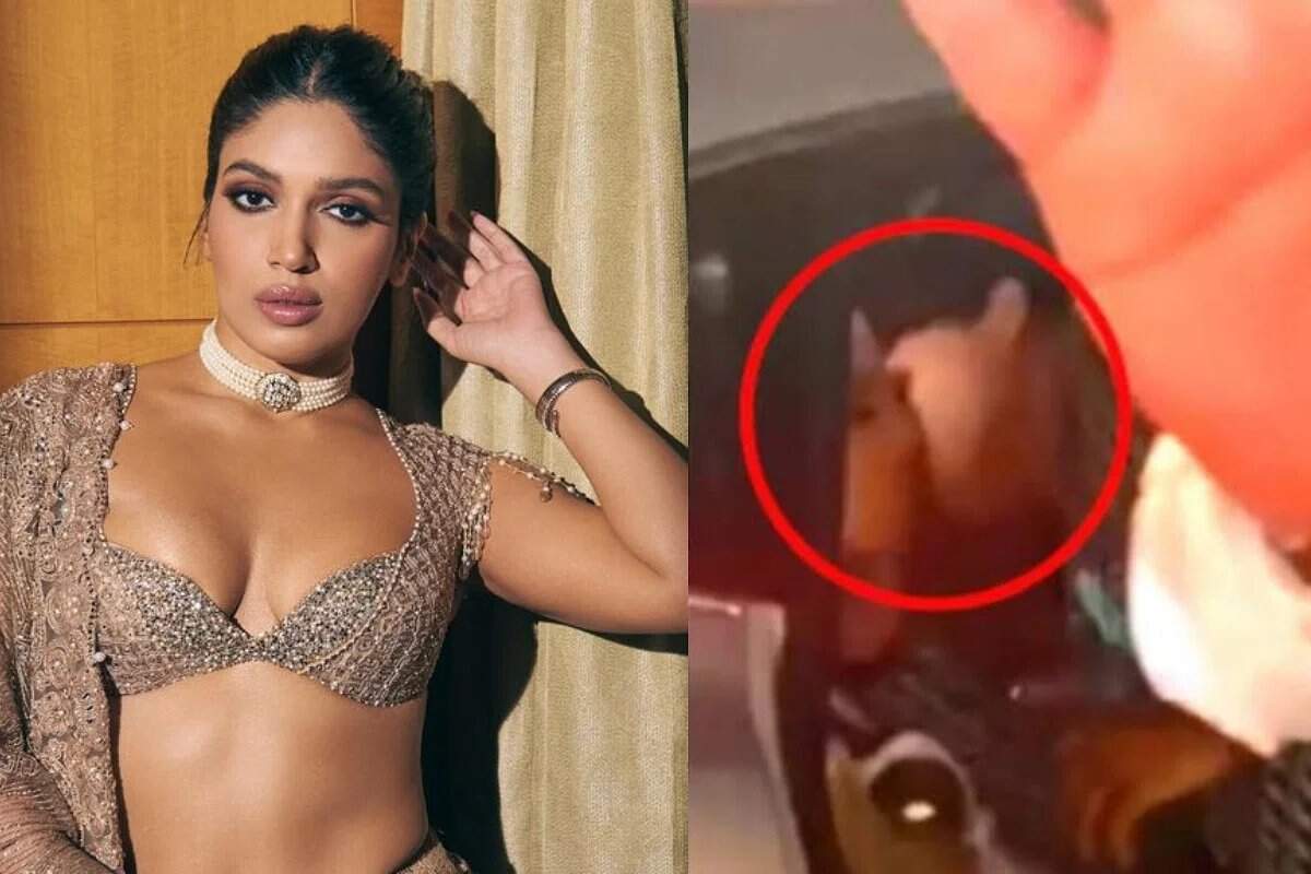 Bhumi Pednekar boyfriend