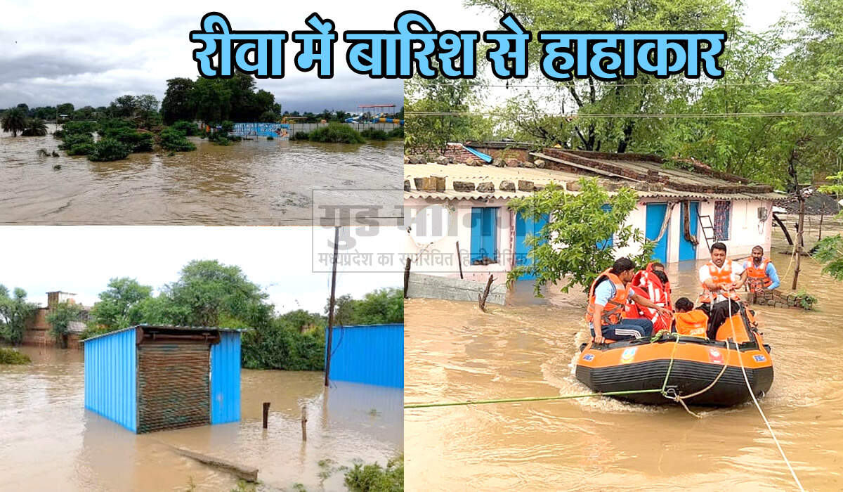 Rewa