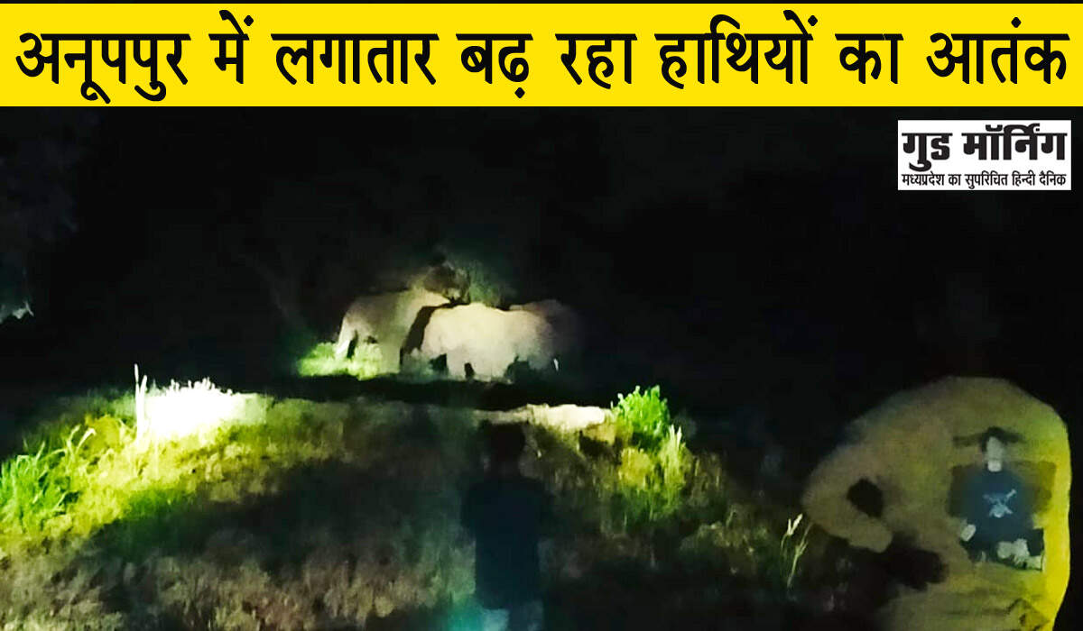 Anuppur News