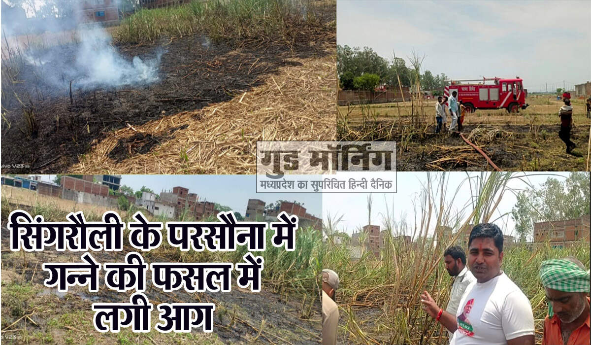 Singrauli