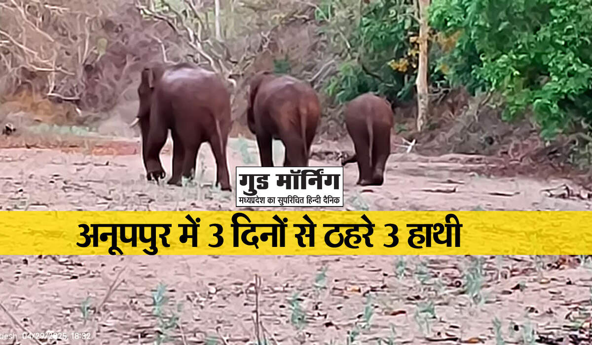 Anuppur