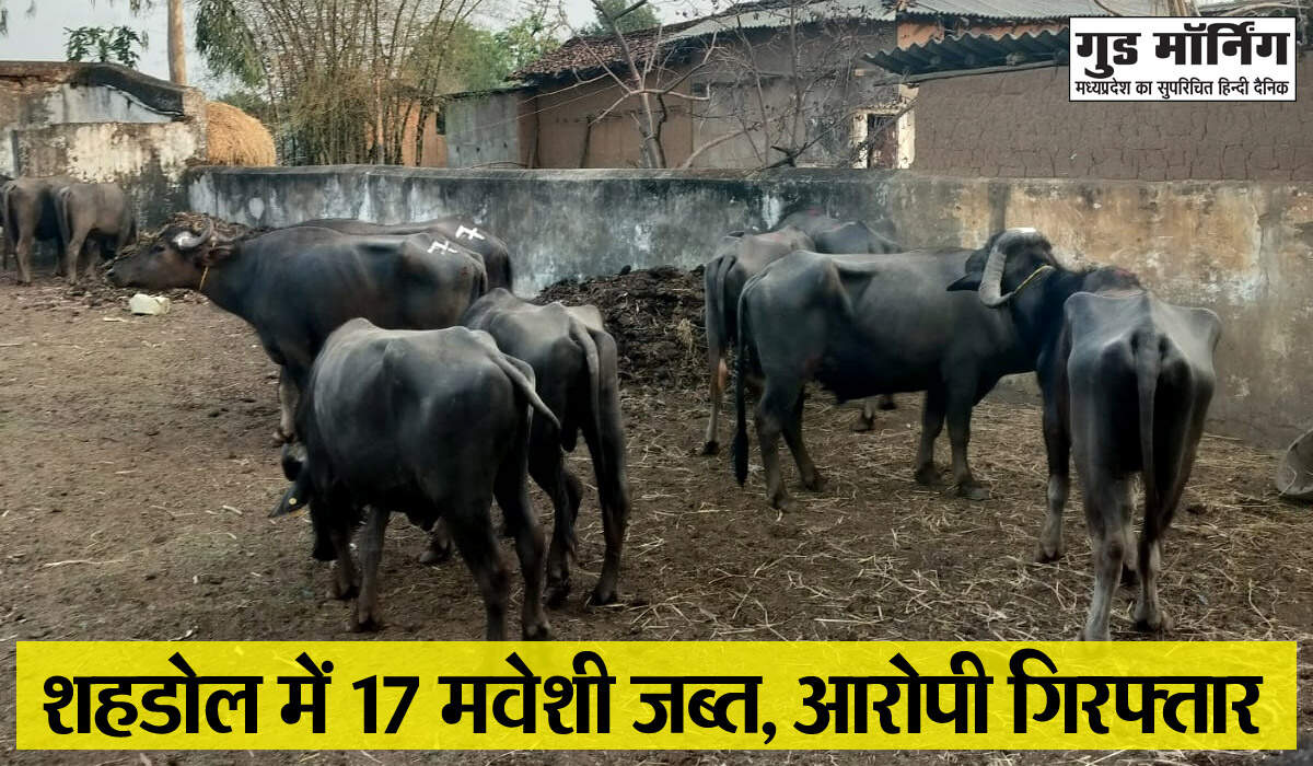 Shahdol