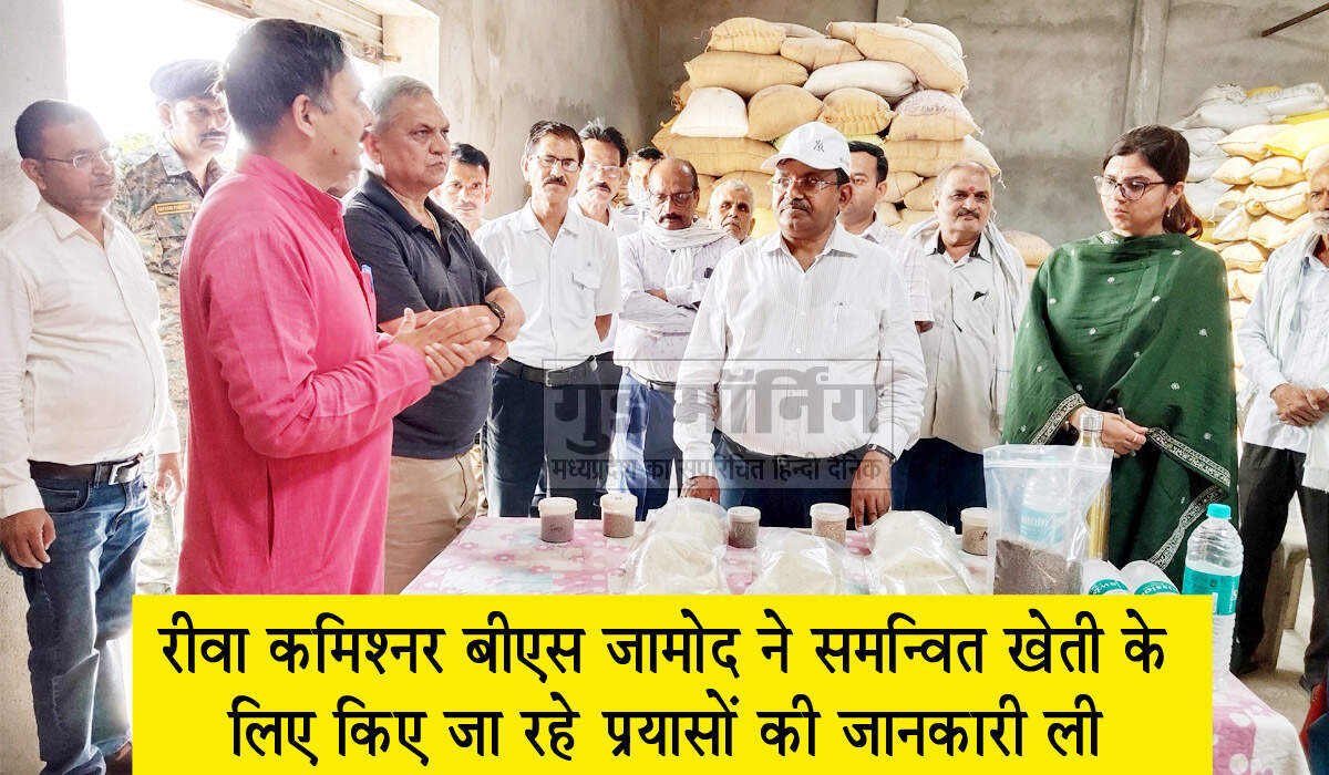 Rewa News