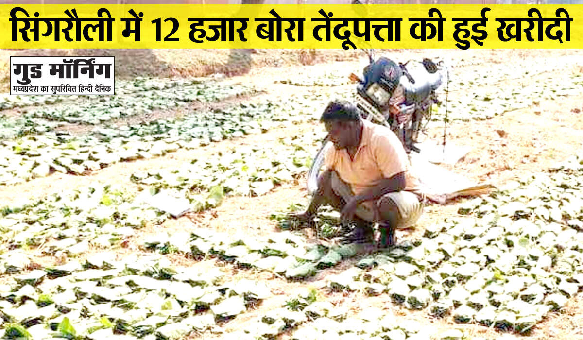 Singrauli